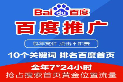 百度SEM广告策略在电商行业的成功案例